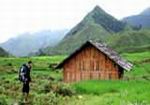 The rotproof wood Hmong houses