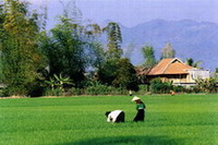 Thai village