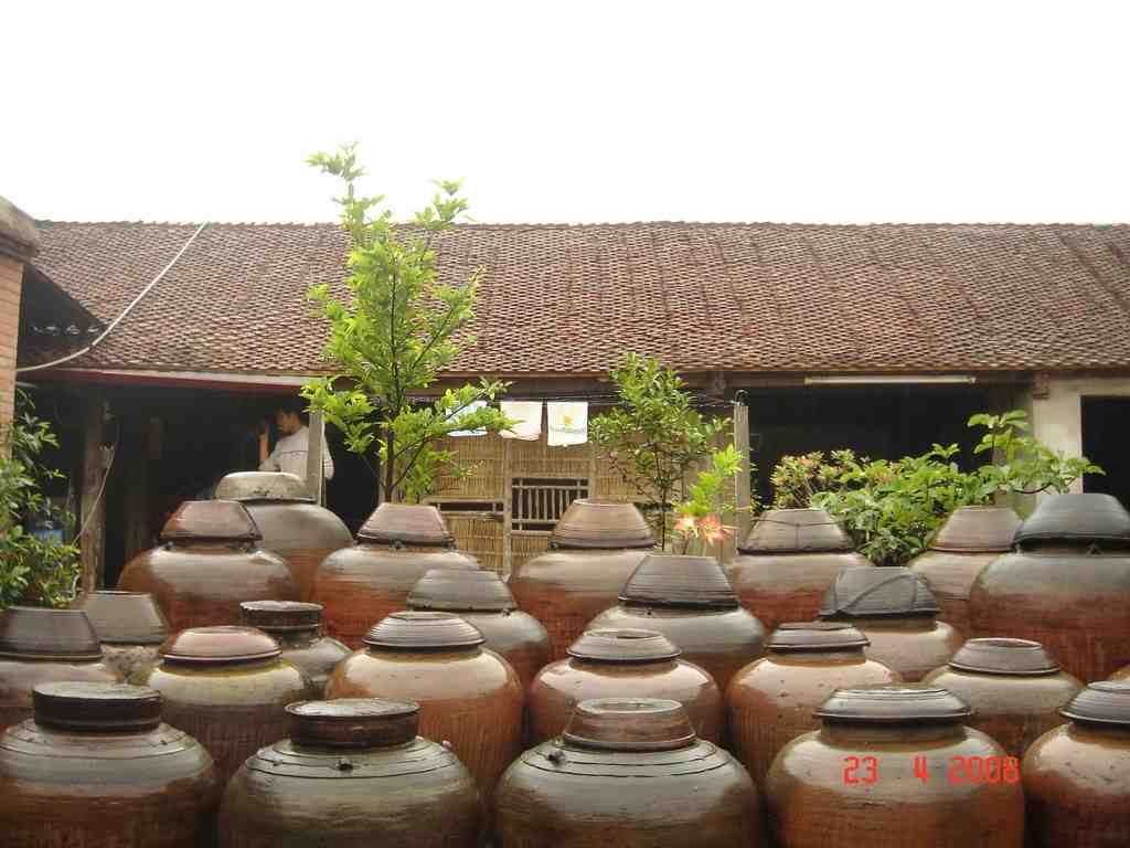 Duong Lam Village - The Journey to the Origin